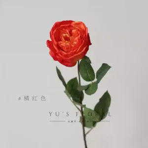 Artificial flower single-headed Austin rose single-branch artificial flower interior decoration floral foreign trade while supplies last - orange red