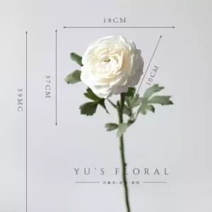 Some lonely high-quality flowers are sold at low prices and are by no means defective. The quantity is small and sold out. There will be no continuous updates... - Peony-white