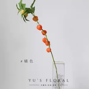 Simulated fruit, sour berry, lantern fruit, high-end flower materials, flower house floral decoration, autumn flowers, photography props - Orange single branch without bottle