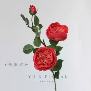 Artificial flower rose David Austin red artificial flower silk flower home display floral landscaping foreign trade flower materials - watermelon red