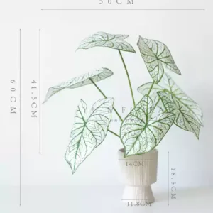 Simulated leaf materials, taro leaves, turtle backs, spring feathers, home decoration, indoor photography props, home furnishings - a bottle + a plant