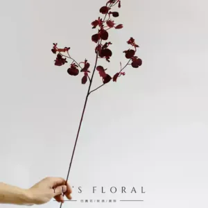 Simulated flower dancing orchid yellow wedding soft decoration floral home decoration single artificial flower placement flower photography props - dark burgundy