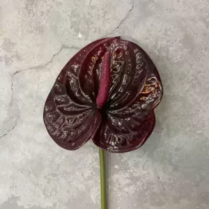 Simulated flower anthurium light luxury high-end white palm flamingo single branch small fake flower wedding decoration photography props home - Small black red