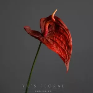 Artificial flower anthurium white palm yellow green palm flower landscaping home decoration soft furnishings photography tutorial silk flowers - red