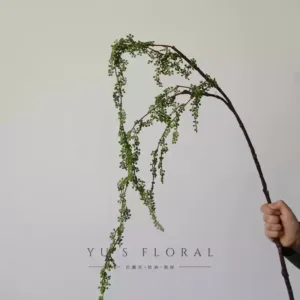 Simulated fruits, lovers’ tears, linear flowers, single artificial flowers, indoor floral arrangements, photography props, soft furnishings - green