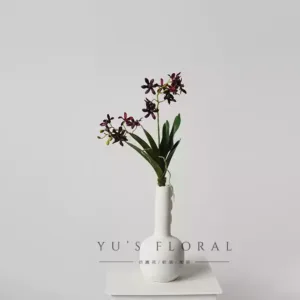 Artificial Flower Chidai Orchid Artificial Flower Orchid Display Home Decor Interior Photography Props Orchid Display - A bottle + a flower, the default is dark wine red flowers