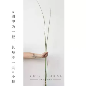 Simulated plant equisetum thin bamboo green Chinese-style hotel display flower arrangement floral single-branch artificial flower display photography props - 1 handful of horsetail