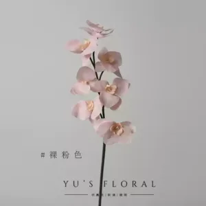 Simulated flower phalaenopsis nude pink jasper feels moisturizing low saturation color space decoration floral display photography - nude pink