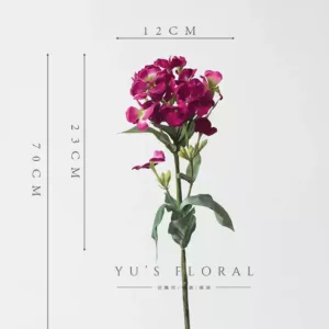 Some lonely high-quality flowers are sold at low prices and are by no means defective. The quantity is small and sold out. There will be no continuous updates... - Guizhuxiang