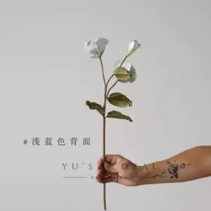 Artificial flower imitation dry lisianthus white blue home decoration single artificial flower ultra-realistic photography props - light blue back