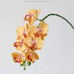 Simulated flowers, mini Phalaenopsis orchids, home small orchids for decoration, florist's flower arrangement, Chinese flower materials, space atmosphere creation - The branches can be bent. Information, please do not shoot.