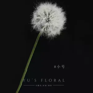 Artificial Flower Dandelion Spherical Slight Hair Loss What Do You Mind Photographing Floral Landscaping Home Decoration Photography - Small size: 70cm long, 13cm diameter