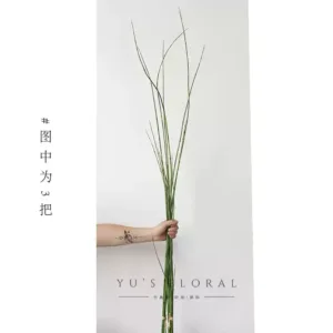 Simulated plant equisetum thin bamboo green Chinese-style hotel display flower arrangement floral single-branch artificial flower display photography props - 3 pieces of horsetail