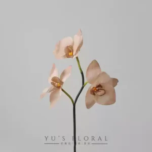 Artificial flowers, three-head feel, Phalaenopsis, Morandi color, retro artificial flowers, French floral decoration, photography - coffee powder
