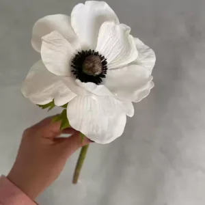 Simulated flower anemone white hand feeling moisturizing ultra-realistic floral single artificial flower indoor photography props high-end - The second batch is in stock. The stamens are black.