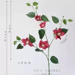 Some lonely high-quality flowers are sold at low prices and are by no means defective. The quantity is small and sold out. There will be no continuous updates... - Clematis - magenta