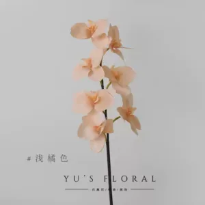 Simulated flower phalaenopsis nude pink jasper feels moisturizing low saturation color space decoration floral display photography - light orange