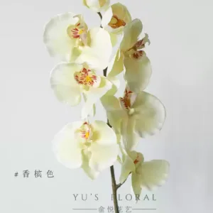 Simulated flower Phalaenopsis orange red single artificial flower home decoration floral landscaping photography props foreign trade final order - champagne