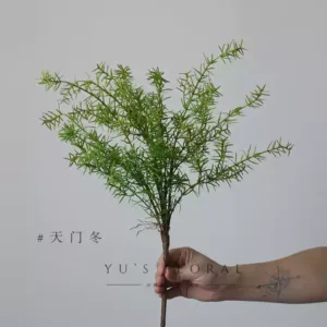Simulated Asparagus green plants, ferns, indoor home furnishings, photography props, soft furnishings, display plant wall materials - green