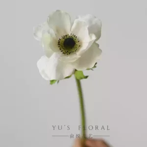 Simulated flower anemone white hand feeling moisturizing ultra-realistic floral single artificial flower indoor photography props high-end - White with green stamens