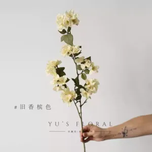 Artificial flower begonia flower single branch artificial flower silk cloth cherry blossom family string flower material soft decoration home decoration wedding dress - old champagne