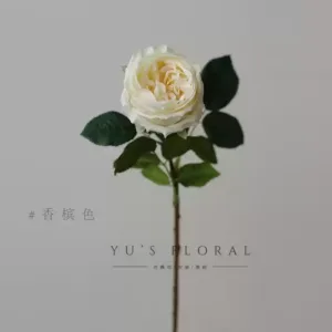 Simulated garden concave rose hand-feeling moisturizing single fake flower pink indoor home flower photography props - champagne