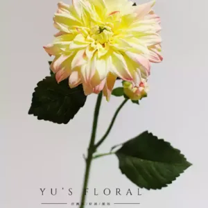 Simulated flower tip petals Dahlia rose red wedding single fake flower home decoration indoor photography props foreign trade final order - cusp champagne pink