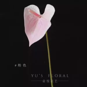 Simulated flower flamingo palm, fake flower anthurium, high-end single-branch fake flower, niche wedding decoration, photography props, home floral art - pink