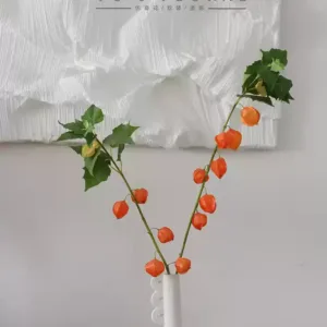 Simulated fruit, sour berry, lantern fruit, high-end flower materials, flower house floral decoration, autumn flowers, photography props - 1 bottle + 2 flowers