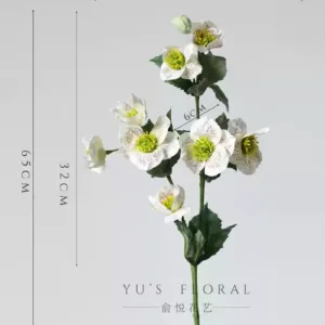 Some lonely high-quality flowers are sold at low prices and are by no means defective. The quantity is small and sold out. There will be no continuous updates... - Rabbit Sunflower-White