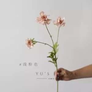 Simulated flowers, chrysanthemums, European silk flowers, light wild flowers, retro colors, light luxury, high-end single flower arrangements, decorative photography - light pink