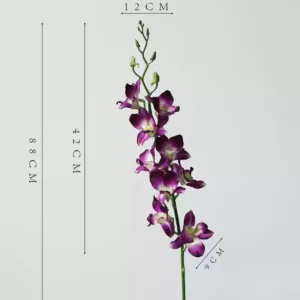 Some lonely high-quality flowers are sold at low prices and are by no means defective. The quantity is small and sold out. There will be no continuous updates... - Yanglan-purple red