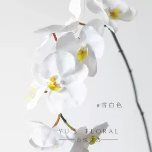 Simulated flower Phalaenopsis hand-painted version of Morandi color single fake flower home floral high simulation wedding layout props - snow white