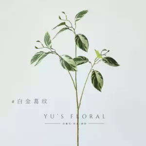 Simulated leaves, colorful radish leaves, summer leaves, home display decoration, summer leaves, photography, soft decoration, wedding layout - Platinum kudzu pattern