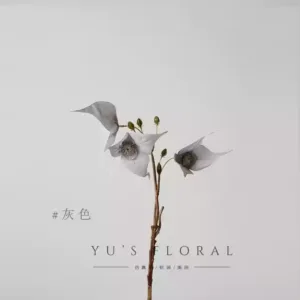 Simulated flower involucrata/water pear dove tree gray imitation rare plant silk flower soft decoration wedding display - grey