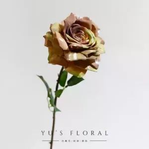 Artificial flowers, large oil painting roses, very large flower heads, space, furnishings, model room, decoration, photography, props - oil color