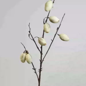 Simulated fruit olive fruit black flower arrangement accessories wedding decoration landscaping photography props model room with wild fruits - melon white