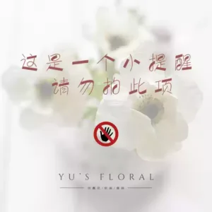 Simulated flower anemone white hand feeling moisturizing ultra-realistic floral single artificial flower indoor photography props high-end - You need to open the petals manually, please be careful when photographing