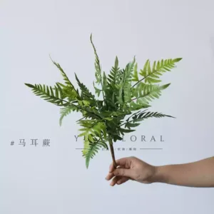 Simulated Asparagus green plants, ferns, indoor home furnishings, photography props, soft furnishings, display plant wall materials - malt fern