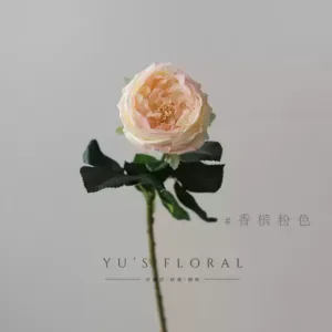 Simulated garden concave rose hand-feeling moisturizing single fake flower pink indoor home flower photography props - champagne pink