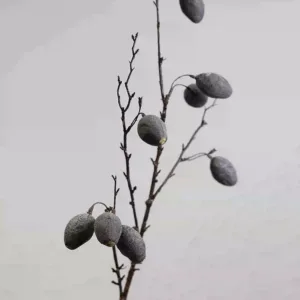 Simulated fruit olive fruit black flower arrangement accessories wedding decoration landscaping photography props model room with wild fruits - black