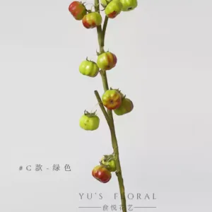 Simulated fruit small pumpkin space display home soft decoration soft decoration photography props model room placement of wild fruits - Type C-green