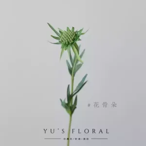 Simulated flower pine cordyceps orange small branches wedding soft furnishings photography props super beautiful foreign trade flowers sold out no replacement - Huaguduo