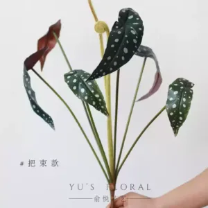 Artificial Flower Trout Begonia Home Decor Ins Plant Display Flower Arrangement Single Indoor Silk Flower - tie the knot