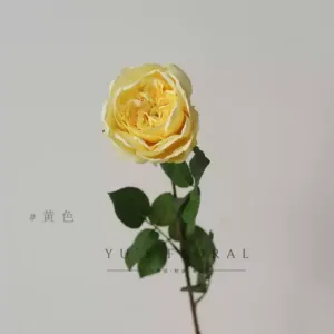Artificial flower single-headed Austin rose single-branch artificial flower interior decoration floral foreign trade while supplies last - yellow