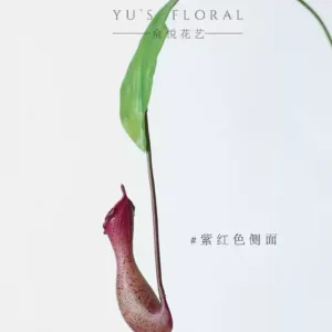 Simulated flower pitcher plant, high-end niche flower material, home decoration line, soft decoration, landscaping, single flower material, photography props - Purple red side, only for display, no photography