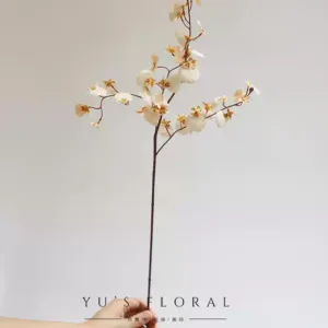 Simulated flower dancing orchid yellow wedding soft decoration floral home decoration single artificial flower placement flower photography props - light champagne