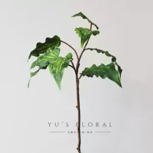 Simulated arrowroot leaves, green leaves, home decoration, hotel display, flowers and green plants, home decoration, single artificial flowers - green