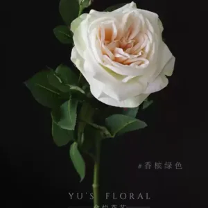 Artificial Flowers Tanik Rose Soft Furnishing Floral Art Single Artificial Flowers Silk Flowers Foreign Trade Export Final Order - champagne green