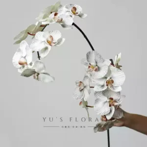 Simulated flower Phalaenopsis hand-painted version of Morandi color single fake flower home floral high simulation wedding layout props - 2 black branches, default 2 branches are the same length